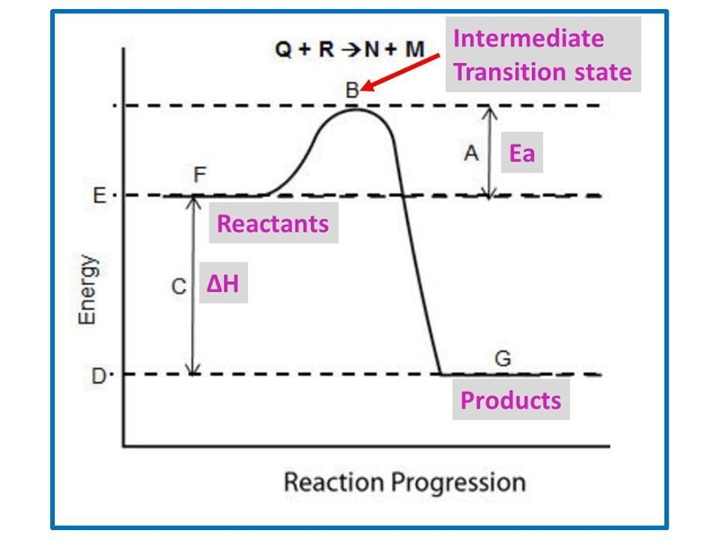 Consider the reaction pathway graph below. Which method would provide evidence to-example-1