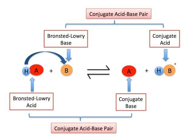 What type of ion does the substance give off if turns the paper blue?-example-1