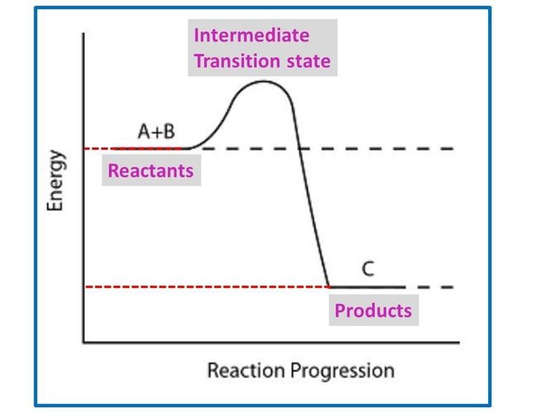 Consider the reaction pathway below. Which is true about the potential energy of the-example-1