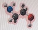 How many atoms in the pictured molecule can form hydrogen bonds with water molecules-example-1