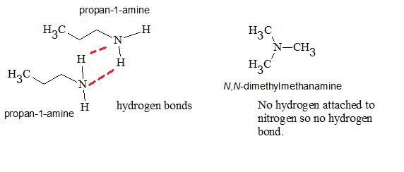 the melting point of trimethylamine is -11.7.2, while the melting point of propylamine-example-1