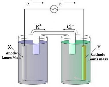 Consider a galvanic (voltaic) cell that has the generic metals X and Y as electrodes-example-1