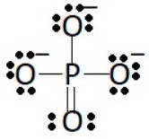 The total number of valence electrons in the phosphate ion is-example-1