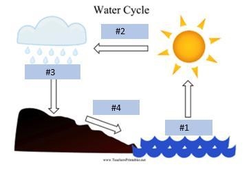 Correctly label the parts of the water cycle enter our answer in the space provided-example-1