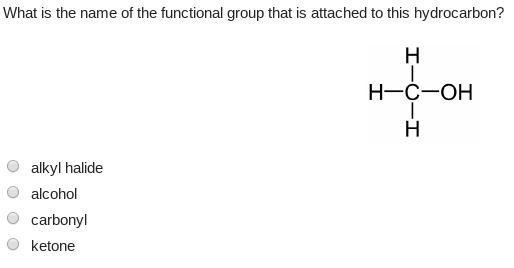 What is the name of the functional group that is attached to this hydrocarbon? A. alkyl-example-1