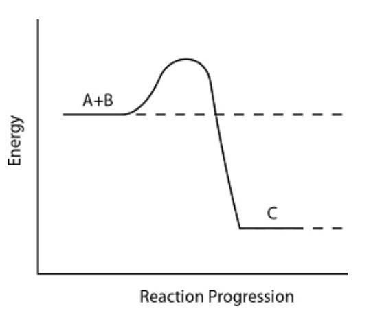 Consider the reaction pathway below. Which is true about the potential energy of the-example-1