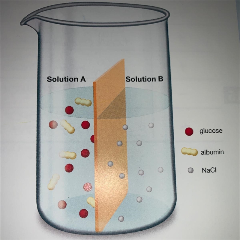 Consider two solutions separated by a semi permeable membrane. The membrane allows-example-1