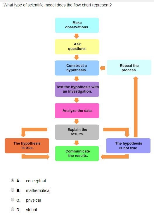 What type of scientific model does the flow chart represent? The model is in the photo-example-1