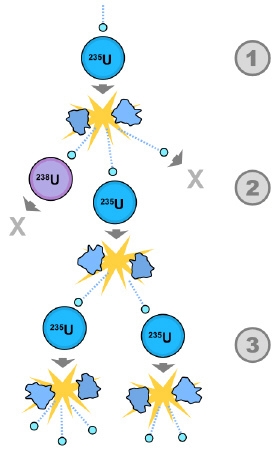 Which type of reaction does this diagram represent? A. a chain reaction that is caused-example-1