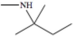 What type of functional group is represented in the compound? The indicated group-example-1