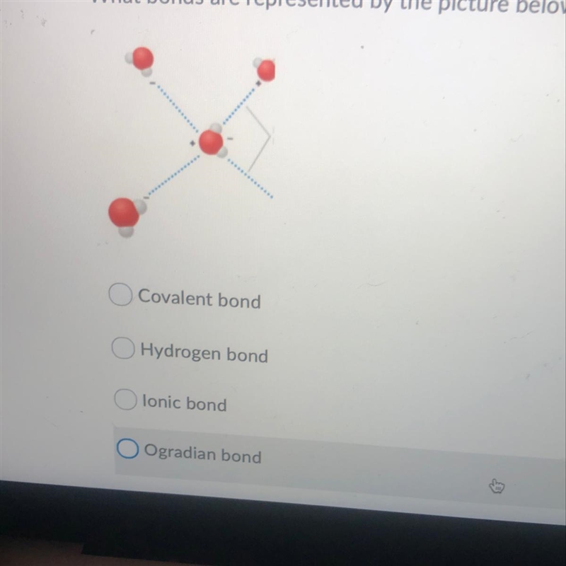 What bonds are represented by the picture below?-example-1