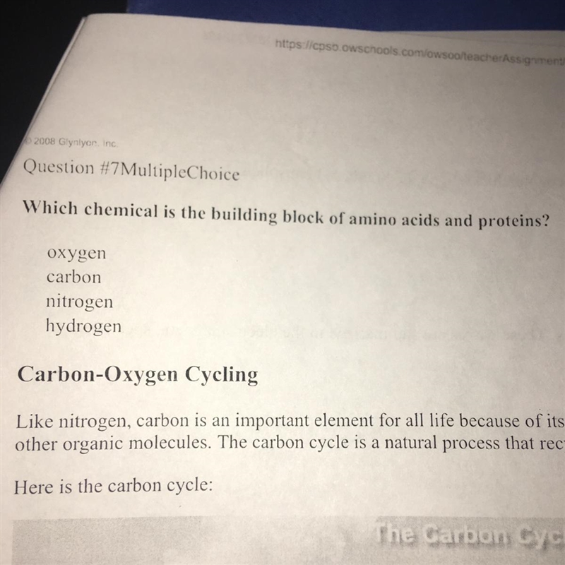 Which chemical is the building block of amino acids and proteins-example-1