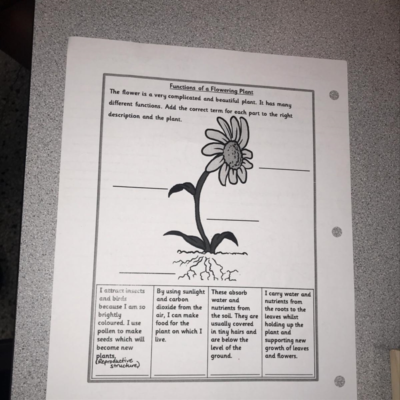 This is for science and it’s for the plant kingdom-example-1