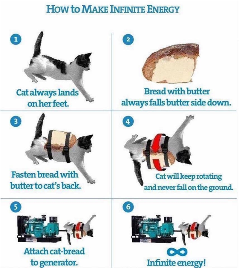 PLZ HURRY!!!!!!!! If you tape toast with butter on the back of a cat, will you create-example-1