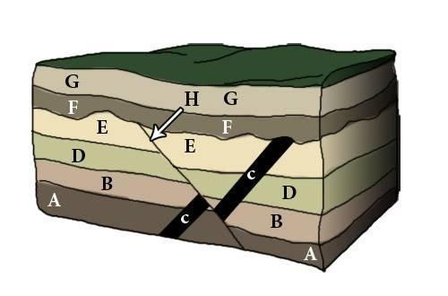 Interpret the block diagram seen here. Arranging the letters from oldest to youngest-example-1