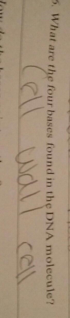 What are the four bases found in DNA molecule???? Please send helppppp​-example-1