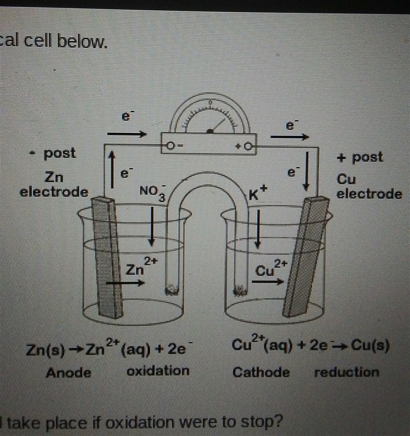 look at the diagram of an electrochemical cell below. which statement describes what-example-1