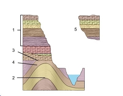 20Points [Photo attached] Which of the following can be assumed about the layers in-example-1