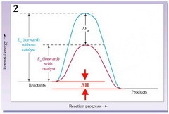 Can someone please help?-example-2