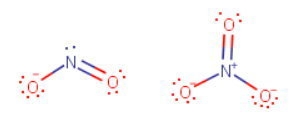 What is the difference between the nitrite ion and the nitrate ion?-example-1