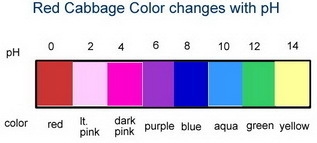 You are testing two different household solutions with your cabbage indicator, One-example-1