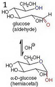 What is the results when the following are subjected to the feeling’s test and why-example-1