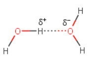 what type of intermolecular force is responsible for the unusual boiling point of-example-1