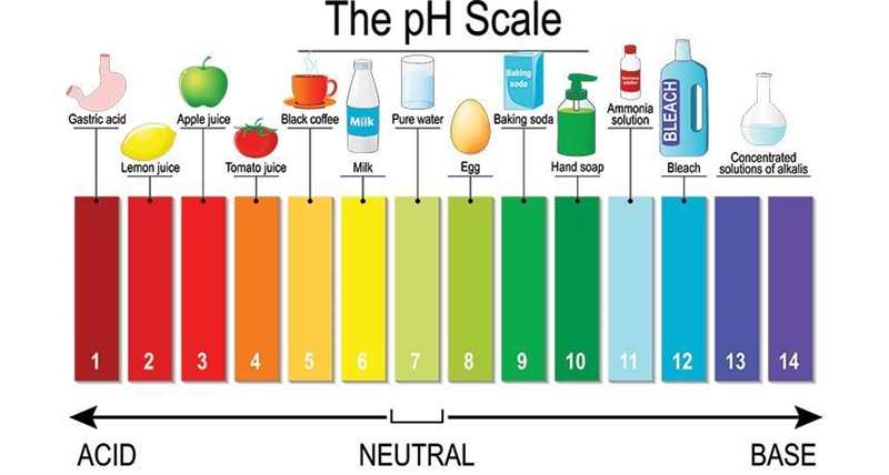 11. With regard to the pH scale, a solution with a pH O A. of 6 is considered neutral-example-1