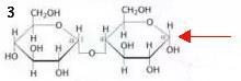 What is the results when the following are subjected to the feeling’s test and why-example-3