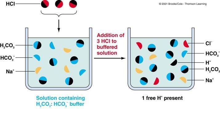 In an experiment, a scientist compares the effect of adding acid rain to samples taken-example-1