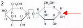 What is the results when the following are subjected to the feeling’s test and why-example-2