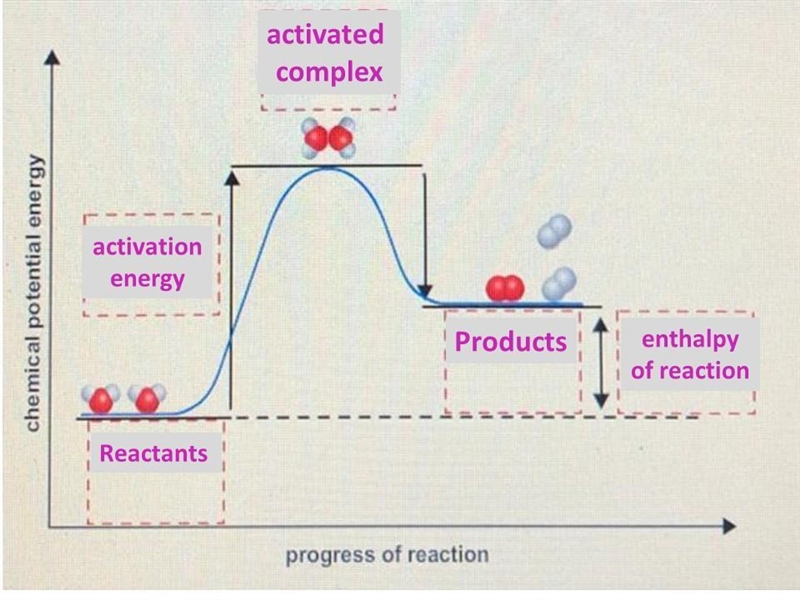 The potential energy diagram shows the gain and loss of potential energy as water-example-1