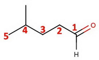 IUPAC naming of CH3CH(CH3)CH2CH2CHO-example-1