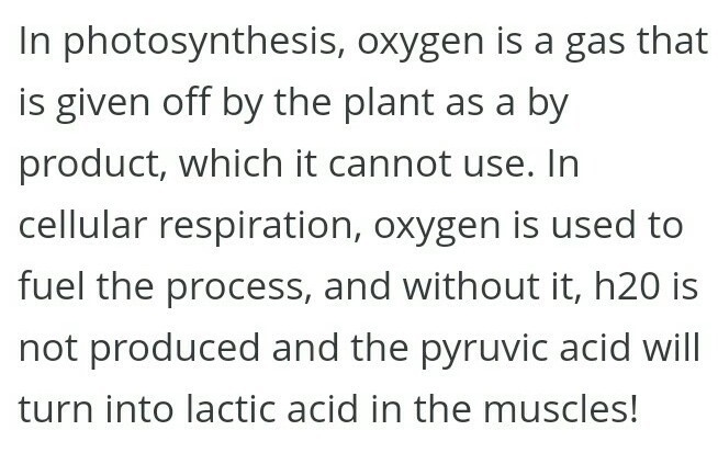 Which describes the role of oxygen in photosynthesis and cellular respiration?-example-1