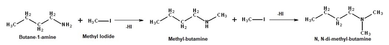 What happens in this reaction? butan-1-amine + CH3I -->-example-1