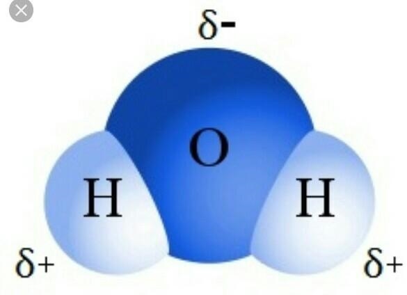 Can y’all tell me what’s an atom and a mole-example-2