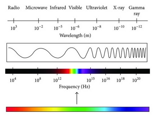 How are the different types of electromagnetic waves organized?-example-1