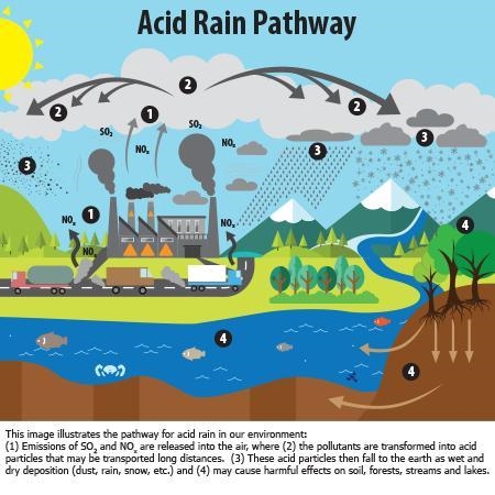 Fossil fuel combustion increases the acidity of rain because _____. carbon dioxide-example-1