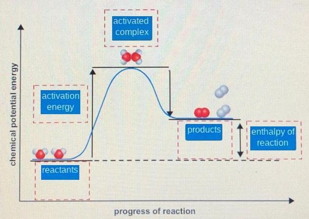 The potential energy diagram shows the gain and loss of potential energy as water-example-1