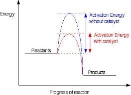 How does a catalyst speed up a chemical reaction? A. by lowering the activation energy-example-1