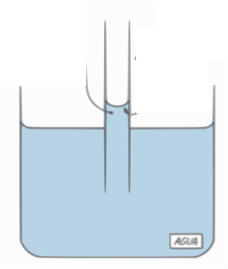 Which describes a property of water that allows plants to transfer it from their roots-example-2