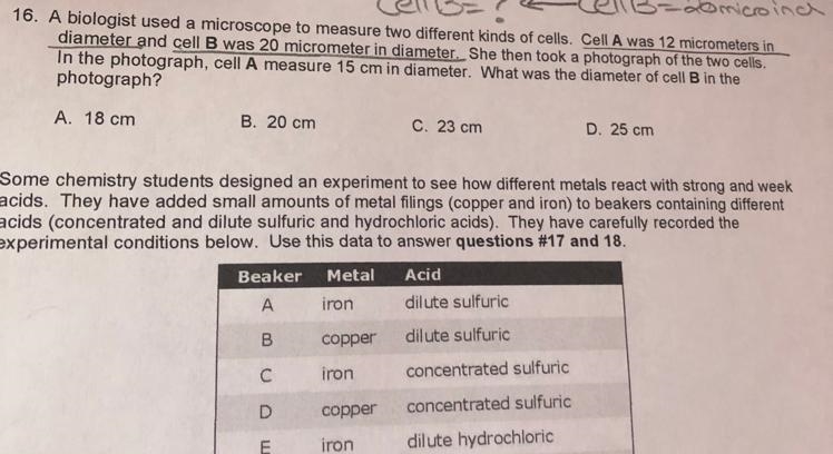 Need help with #16 please!! Thank you everyone :)-example-1