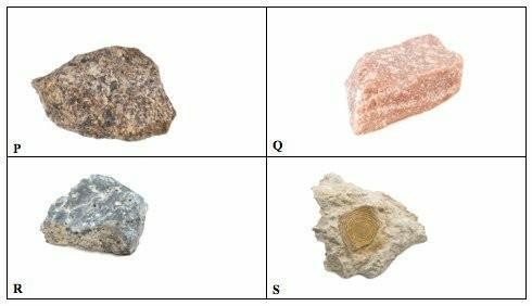 Which set correctly matches the labels with the types of rocks? A)P: igneous, Q: sedimentary-example-1