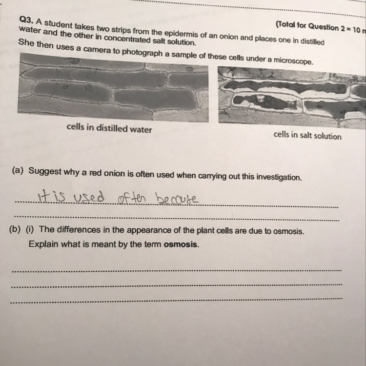 Can you help me with this question-example-1