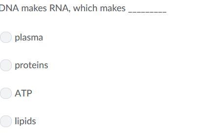 20 POINTS PLZ HELP I DONT KNOW WHAT TO DO!!!!!-example-1