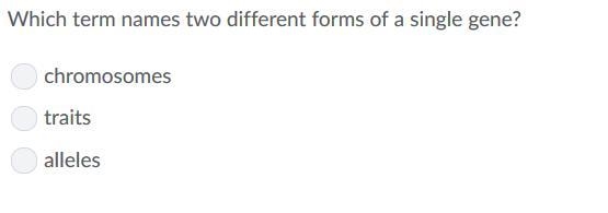 20 POINTS PLZ HELP ME IDK WHAT TO DO-example-1