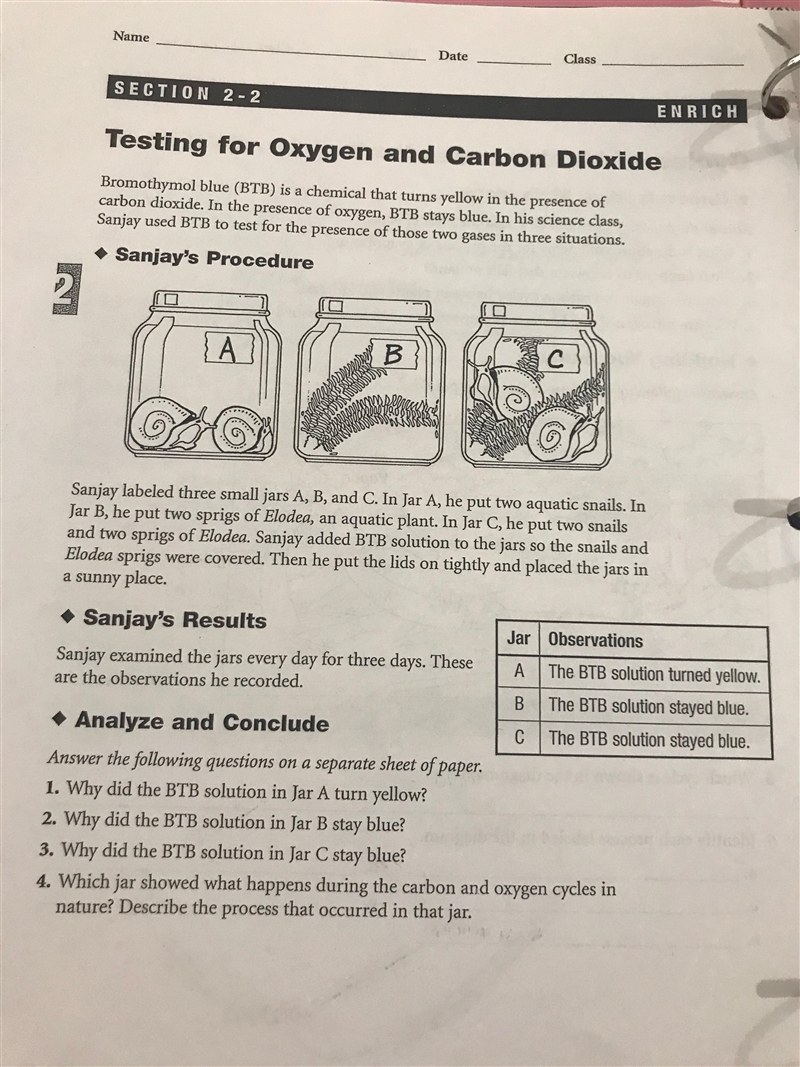 Can someone help me with these science pages?-example-2