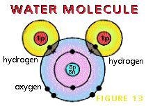 Study Figure 13 and answer these questions. (Figure is shown at the bottom) Each hydrogen-example-1