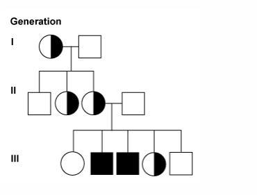 Refer to the figure showing a pedigree of a family affected by an x-linked recessive-example-1