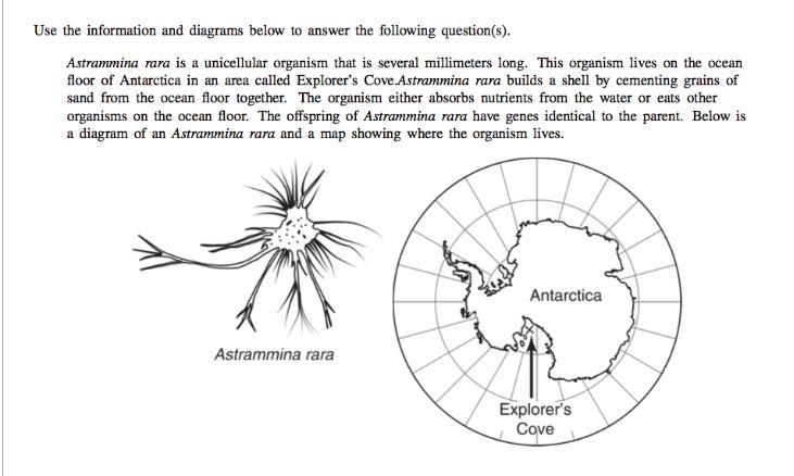 PLEASE HELP ASAP!! Needed IN 10 MINUTES!! Which statement best describes how genetic-example-1